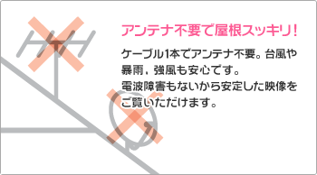 アンテナ不要で屋根スッキリ！ケーブル1本でアンテナ不要。台風や暴雨、強風も安心です。電波障害もないから安定した映像をご覧いただけます。