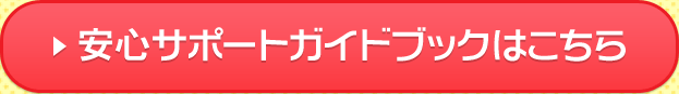 CNS安心サポートガイドブックはこちら